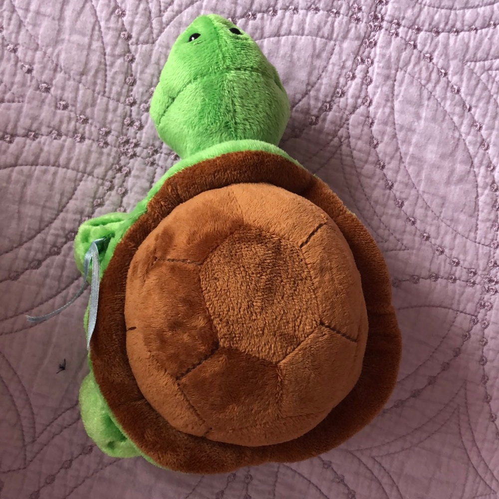 Webkinz GANZ Turtle (no code!) - Picture 4 of 4